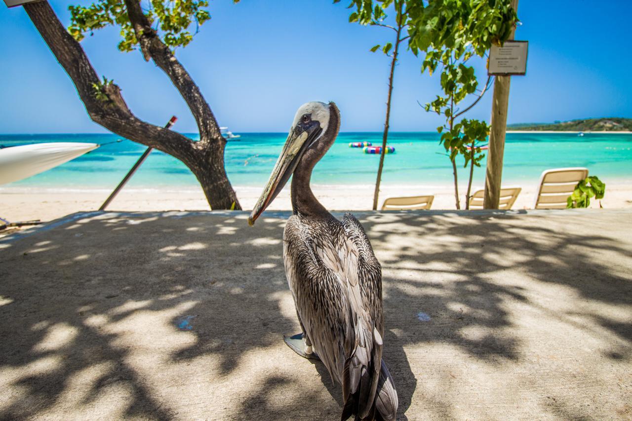 Paradise Island Beach Resort Punta Rucia Exteriér fotografie
